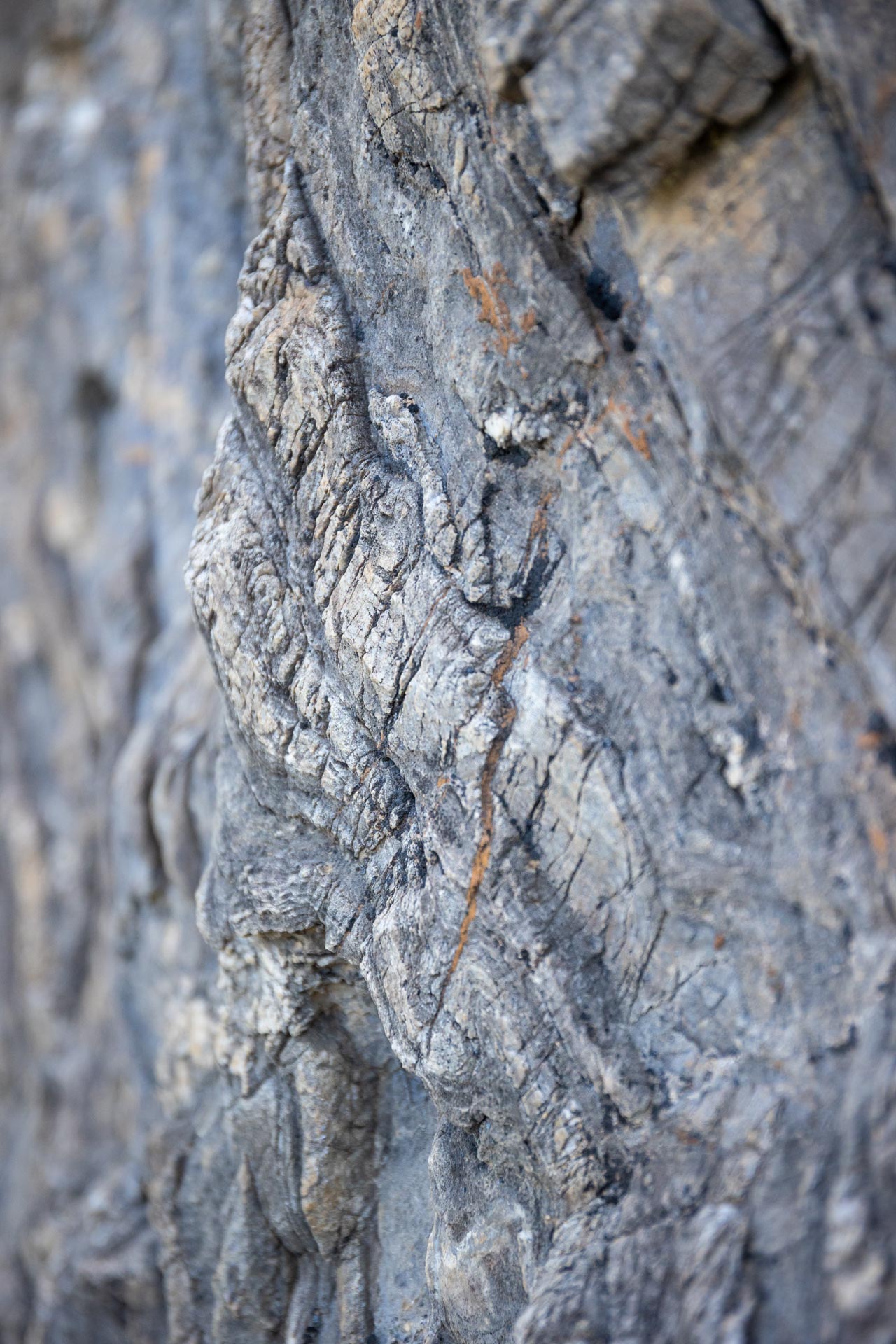 Escalade Perfectionnement – Image 26