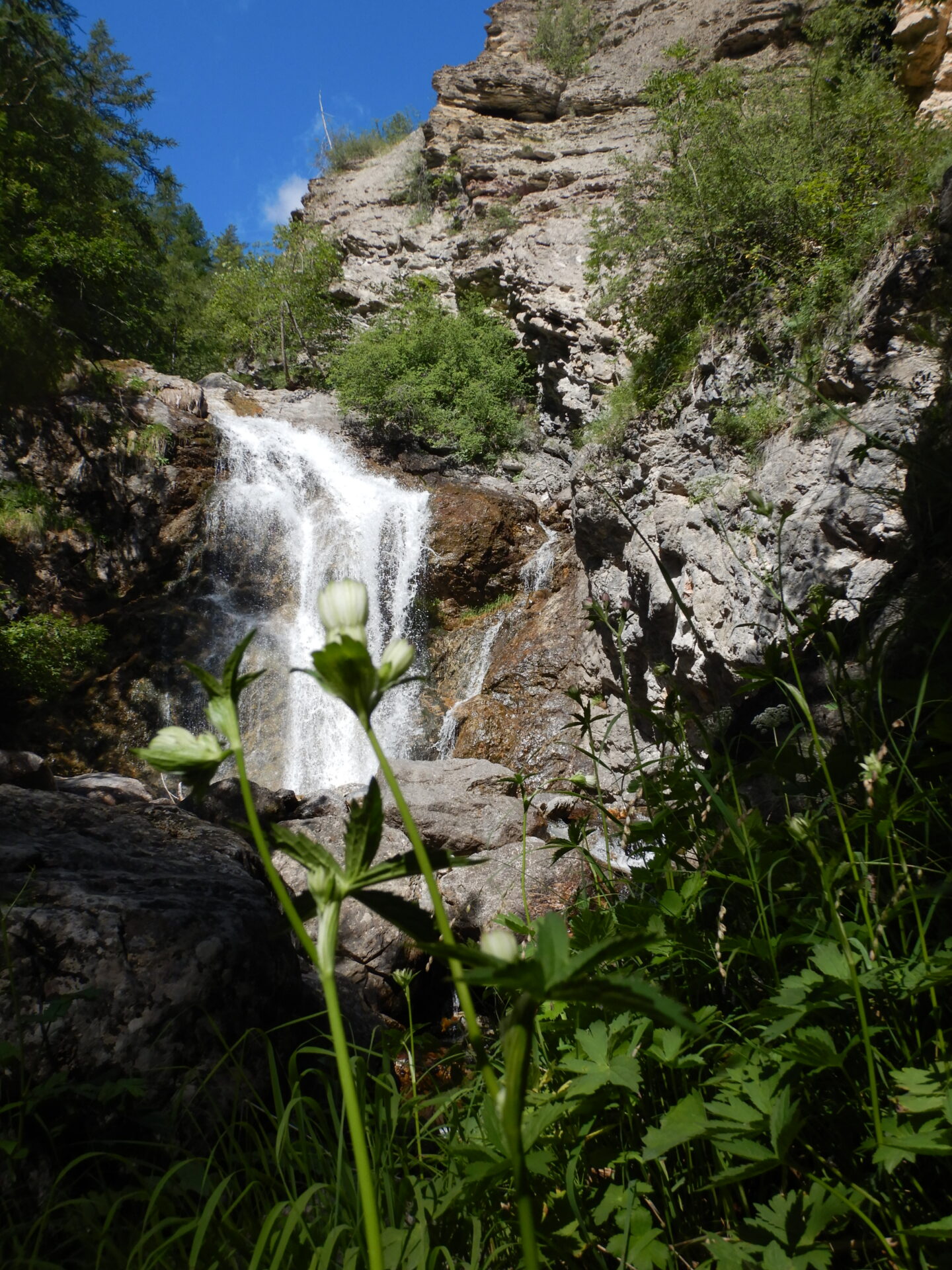 Tramouillon – Image 5